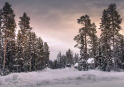Tirage Photo Laponie – Finlande Paysage Neige Chalet en Couleur Tirage Photo Laponie – Finlande Paysage Neige Chalet en Couleur