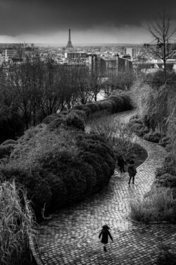 Photo de Paris Jardin Belleville – Tirage Photographie en Noir et Blanc Photo de Paris Jardin Belleville – Tirage Photographie en Noir et Blanc