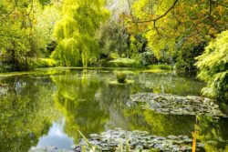 Jardin Boutiguery Jardin Boutiguery