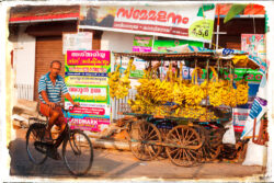 Cochin Inde Scène de rue homme en vélo Cochin Inde Scène de rue homme en vélo