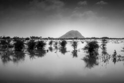 Inde Tamil Nadu paysage noir et blanc Inde Tamil Nadu paysage noir et blanc