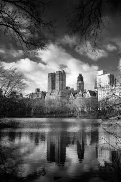 New-York Central Park Black and white New-York Central Park Black and white