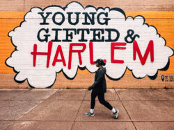 New-York Young Gifted and Harlem New-York Young Gifted and Harlem