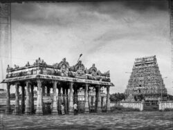Tamil Nadu Inde Temple Gopuram Tamil Nadu Inde Temple Gopuram