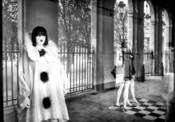 Palais Royal Paris vitrine reflets Palais Royal Paris vitrine reflets
